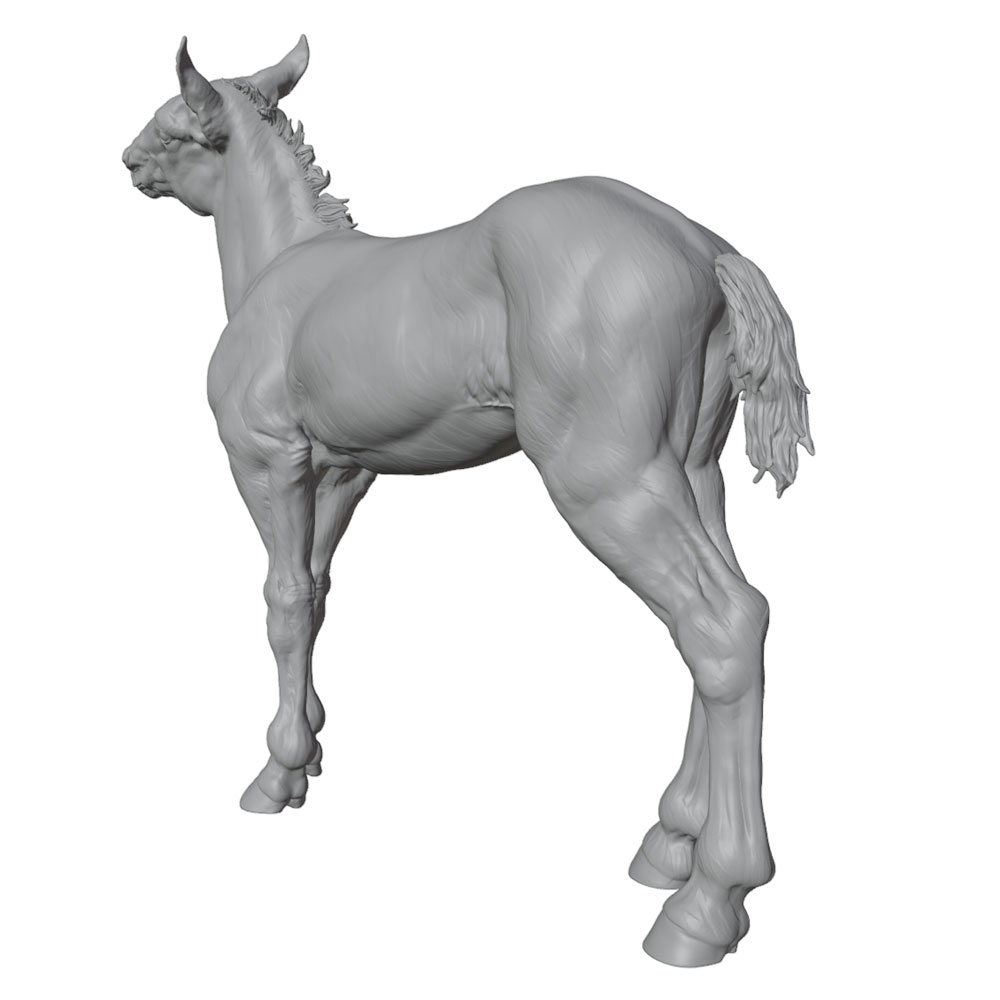 High-Detail Printing, Realisti - đánh giá và giá Model Kit Horse