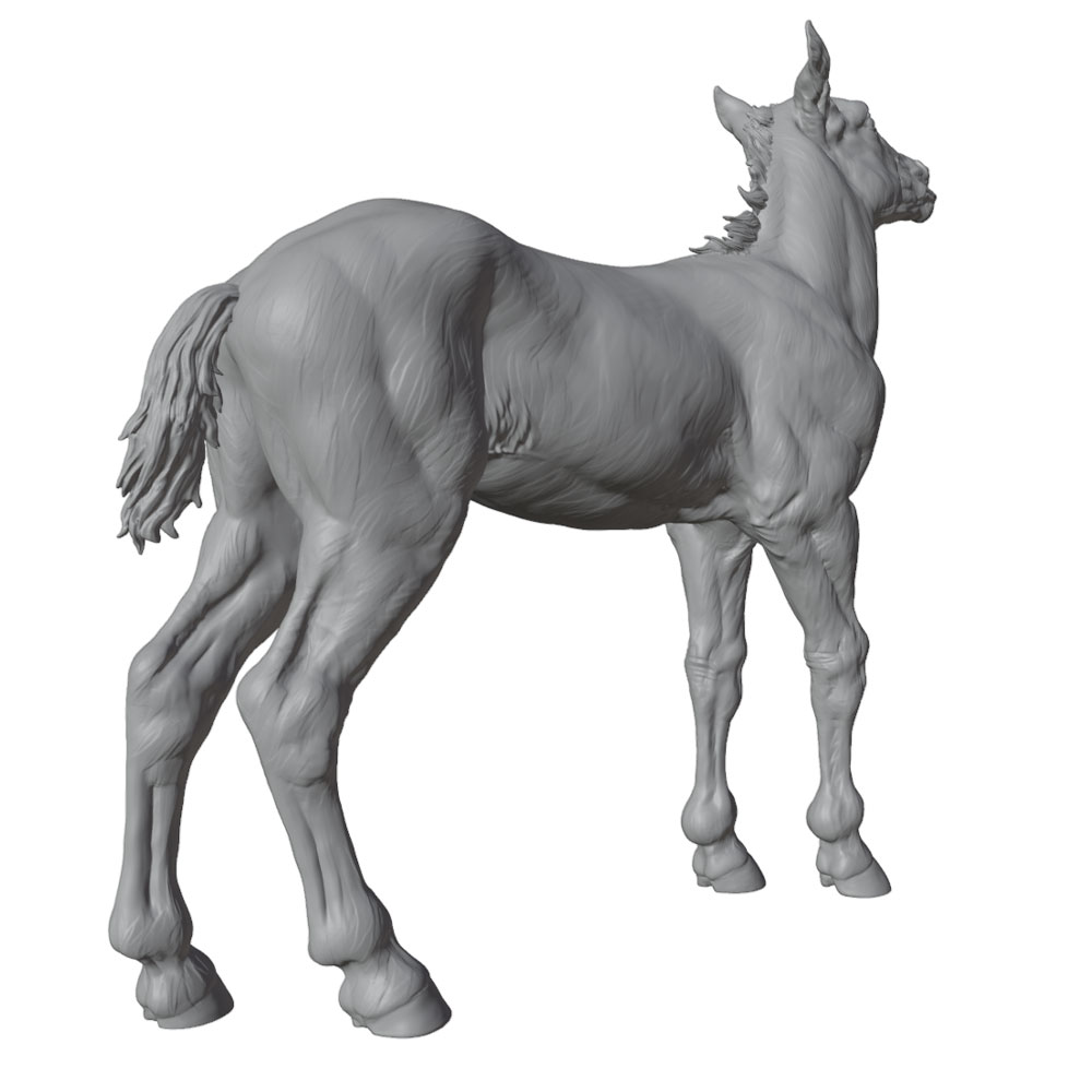 High-Detail Printing, Realisti - đánh giá và giá Model Kit Horse