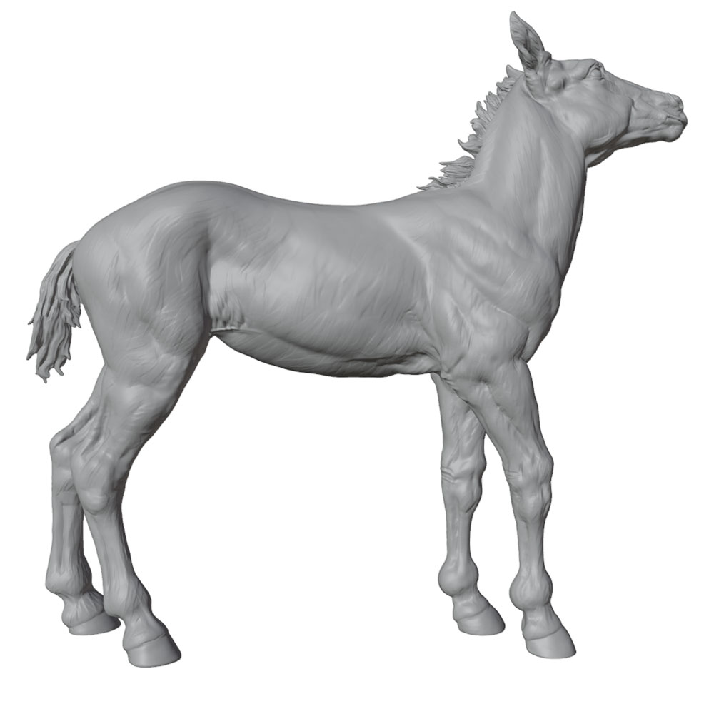 High-Detail Printing, Realisti - đánh giá và giá Model Kit Horse