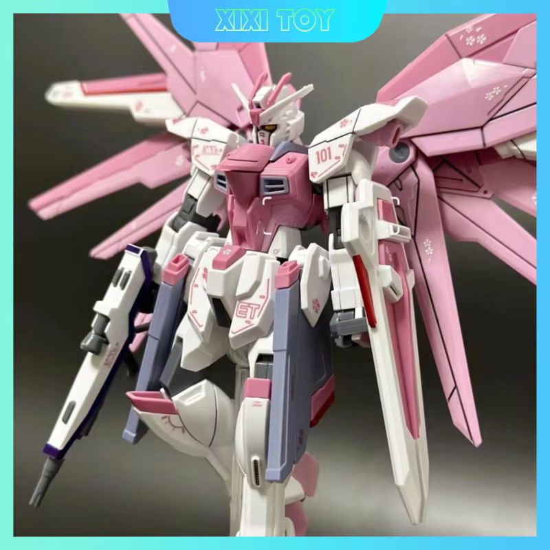 JMS HG 1/144 ZY-06 Freedom Ass - đánh giá và giá Model Kit Gundam Mg