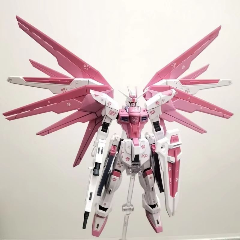 JMS HG 1/144 ZY-06 Freedom Ass - đánh giá và giá Model Kit Gundam Mg