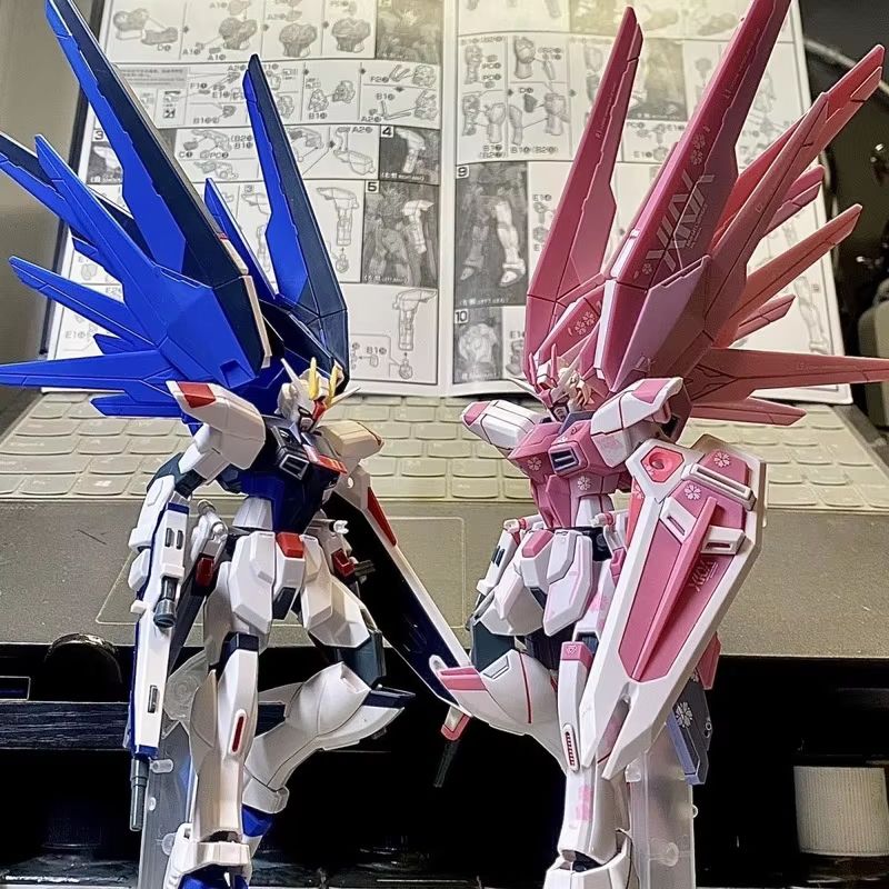 JMS HG 1/144 ZY-06 Freedom Ass - đánh giá và giá Model Kit Gundam Mg